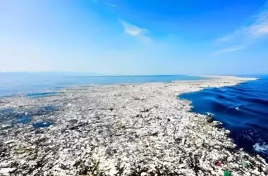 Descubren Vida Marina Próspera en la Gran Mancha de Basura del Pacífico