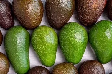 Un Avance Genético Revoluciona el Cultivo de Aguacate Antillano