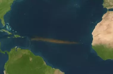 La Extensión Anormal de Sargazo en el Atlántico: Un Indicador Crítico del Cambio Climático