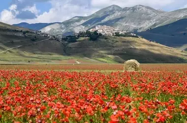 Restaurar la naturaleza: Inversión Estratégica para Europa con Retornos Millonarios