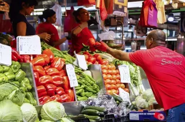 El Impacto Ambiental de Nuestra Alimentación y Cómo los Precios Podrían Reducirlo