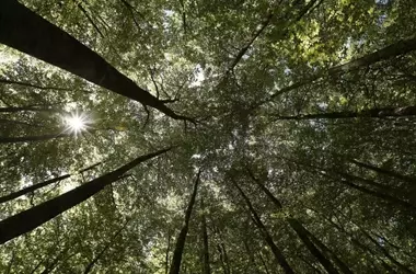 La Sostenibilidad Empresarial: Clave para la Competitividad y Resiliencia en 2026