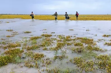 Doñana: Lluvias de 2025 reviven el humedal, pero los desafíos perduran