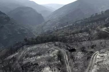 Iniciativa Ciudadana para Evaluar el Impacto de Incendios en Aves Gallegas