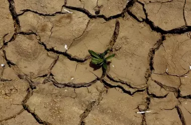 Ecoansiedad: La Trampa Psicológica del Idealismo Ambiental Extremo