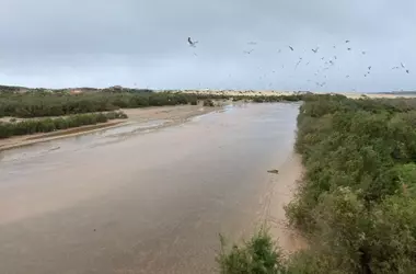 Marruecos Intensifica Esfuerzos en la Preservación de Humedales Vitales