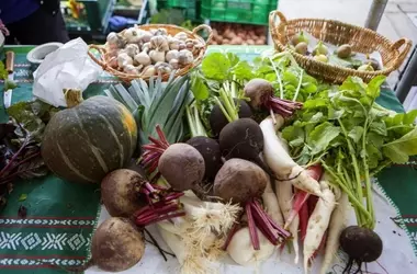 Agricultura Ecológica: Aumento de Ventas Globales a pesar de la Ligera Reducción de la Superficie Cultivada