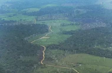 La Amazonía colombiana: Un ecosistema bajo amenaza por actividades ilícitas