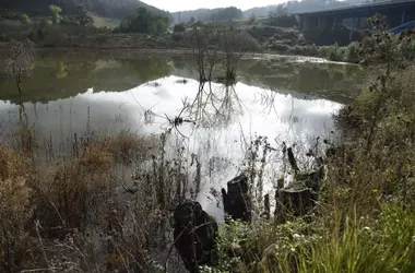 La Coalición de Restauración de la Naturaleza Impulsa la Recuperación Ecológica en España