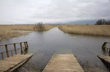 Las Tablas de Daimiel Superan las Mil Hectáreas Inundadas, Acercándose al Máximo Histórico