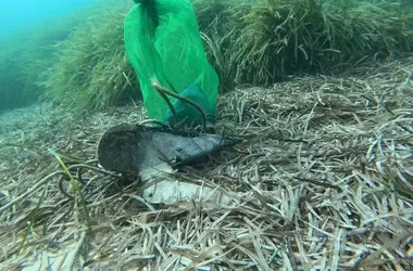 Contaminación marina en Baleares: El impacto de los residuos turísticos y marítimos en el fondo del mar