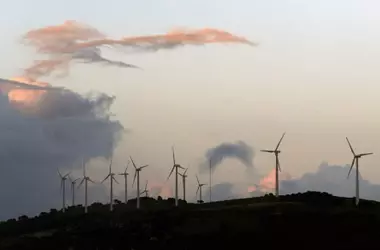 Evaluaciones Ambientales y el Impacto Eólico en la Fauna Silvestre