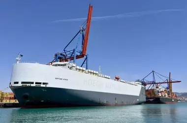 La mitad de las especies marinas exóticas en aguas europeas llegan como "polizones" en barcos