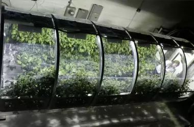 Fertilizante Espacial: La Transformación de Aguas Residuales en Recursos Agrícolas para Asentamientos Interplanetarios