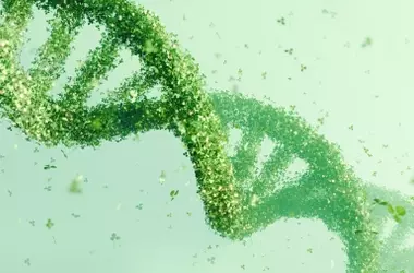 Revelaciones del ADN Oculto de las Plantas: Un Viaje Evolutivo de 300 Millones de Años que Asombra a la Ciencia