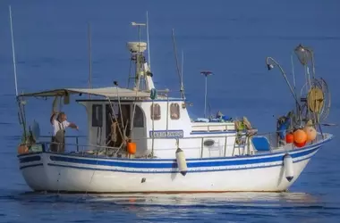 La Merluza Europea Enfrenta una Crisis Genética: Un Estudio Revelador