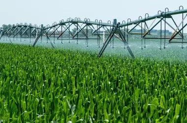 Revolución del Riego: España Invierte 170 Millones en Digitalización Agrícola