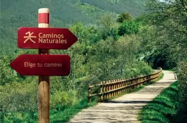 Ecologistas Alerta: Descuido Crítico de Rutas Pecuarias y Senderos Públicos en España