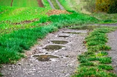 España: Un Tesoro de Corredores Ecológicos Amenazados
