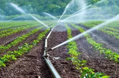 LIFE Triplet: Innovación para una Agricultura Hídricamente Eficiente
