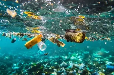 Microplásticos: La Amenaza Silenciosa que Compromete la Salud Global