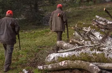 La controvertida decisión de permitir la caza en áreas incendiadas de León desata críticas de científicos y ecologistas