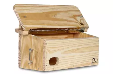 Cajas nido: un peligro mortal para las crías de vencejo