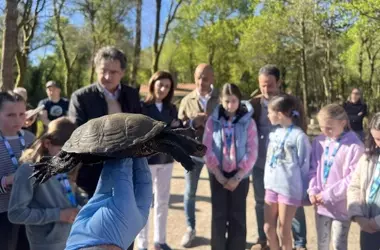 El Galápago Europeo Retorna a Humedales Restaurados en Pontevedra