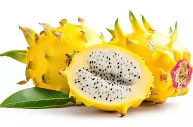 Cáscaras de Pitahaya: El Secreto Chino para Baterías de Coches Eléctricos