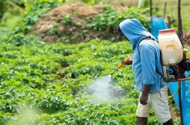 España insta a la UE a revisar la regulación sobre productos fitosanitarios para la agricultura