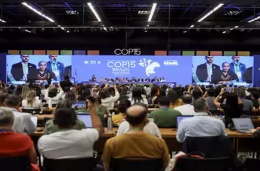 La COP15 Fortalece la Protección de Especies Migratorias con Nuevas Medidas y Resoluciones de la ONU