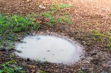 La agricultura convencional daña la capacidad del suelo para retener agua y agrava las sequías extremas
