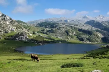Los Picos de Europa: La Joya Natural Reconocida Globalmente