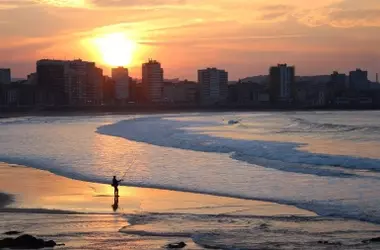 Un estudio revela que la costa de Gijón se mantiene prístina, libre de contaminación y especies invasoras