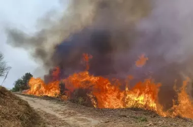 2025: Un Año Récord de Incendios Devastadores en la Unión Europea