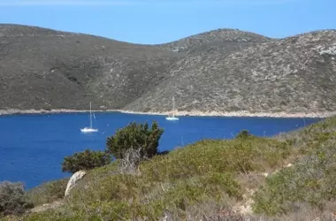 La ineficacia de la protección amenaza la biodiversidad marina de Cabrera con una reducción del 40%