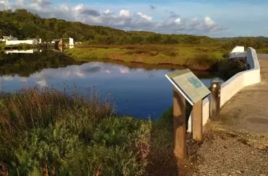 Menorca Reconfigura la Ruta Costera para la Protección de Aves en S'Albufera des Grau
