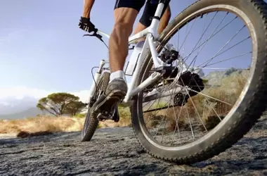 Navarra Potencia el Cicloturismo: Centro Bertiz y Red de Rutas BTT en Baztan-Bidasoa