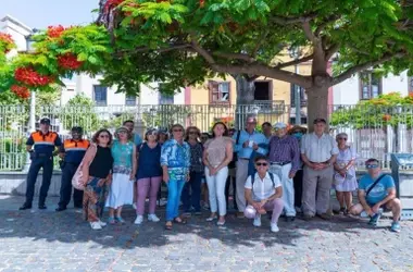 Descubre la Biodiversidad Urbana de Tenerife: Rutas Guiadas por Árboles Emblemáticos en 2026