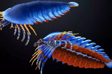 Revelación Fósil: Un Artrópodo Antiguo Redefine la Evolución de las Arañas