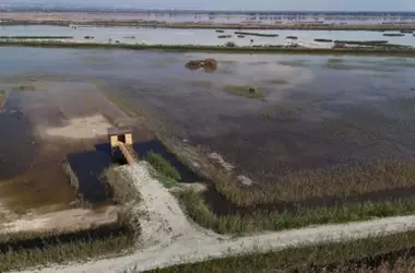 El Espigar: Nuevo Santuario de Aves en Alicante para la Conservación de Especies Protegidas