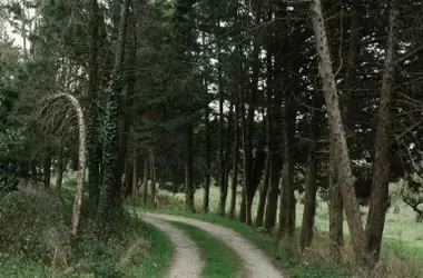 Explorando la Biodiversidad Navarra: Rutas Guiadas Gratuitas en Primavera 2026