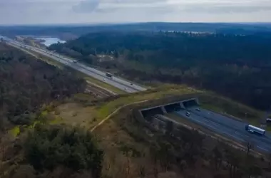 Madrid inaugura un innovador 'ecoducto' para salvaguardar la fauna silvestre en la M-607