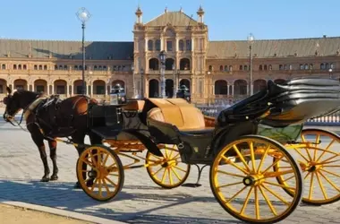 La Propuesta del Partido Animalista PACMA para la Transformación del Turismo Ecuestre en Sevilla: Calesas Eléctricas sin Maltrato Animal