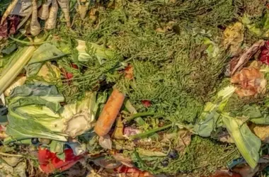 Transformación Innovadora: Residuos Hortofrutícolas en Valencia Generan Productos Sostenibles