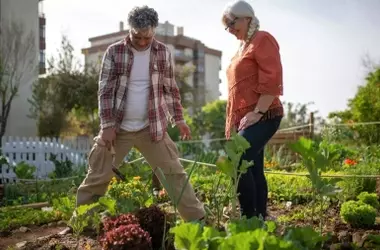 La agricultura urbana en España: cultivando sostenibilidad en las ciudades