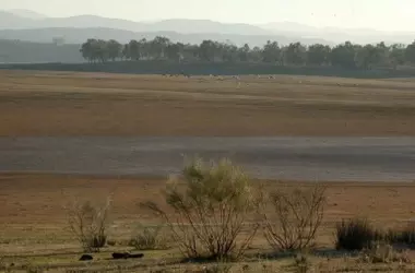 Controversia en Extremadura: La Desclasificación de Espacios Protegidos en la Red Natura 2000 Genera Debate