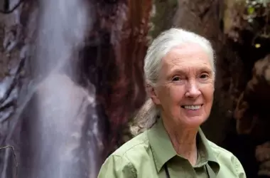 El Legado de Jane Goodall: Impacto de nuestras acciones en el medio ambiente