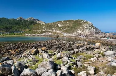 Un plan ambicioso para la conservación en Galicia: erradicación de especies exóticas en las islas Cíes y Corrubedo