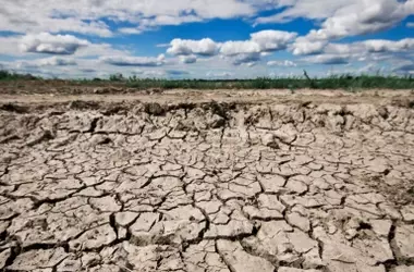 La Sostenibilidad Terrestre en Cuestión: Un Análisis Científico sobre el Consumo de Recursos y el Futuro de la Vida